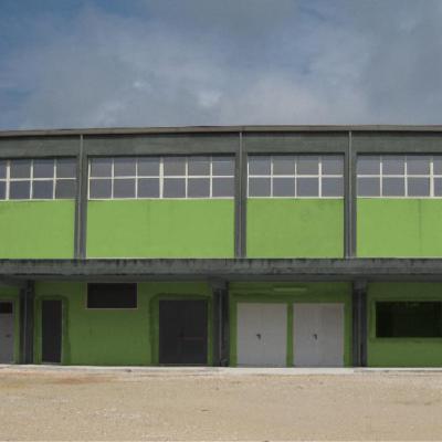 Imm1